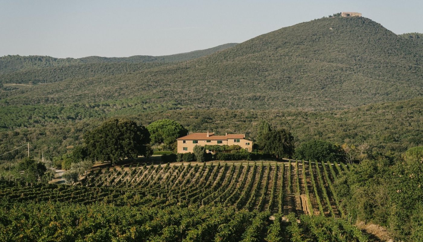 Isolated Grattamacco and vineyards