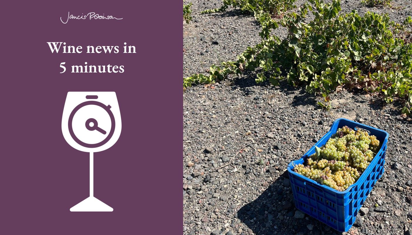 just-picked Assyrtiko grapes in a crate at Domaine Sigalas in Santorini