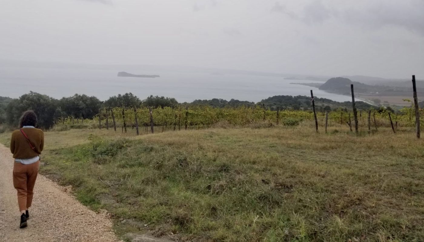 Credit: Kennedy Lieberman. Walking towards Lake Bolsena at the last stop of the day, Andrea Occhipinti’s vineyard.