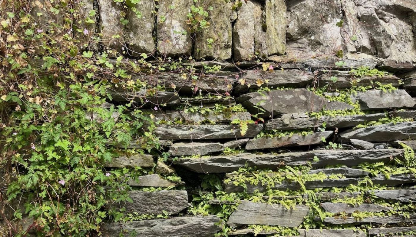 Dede garden wall