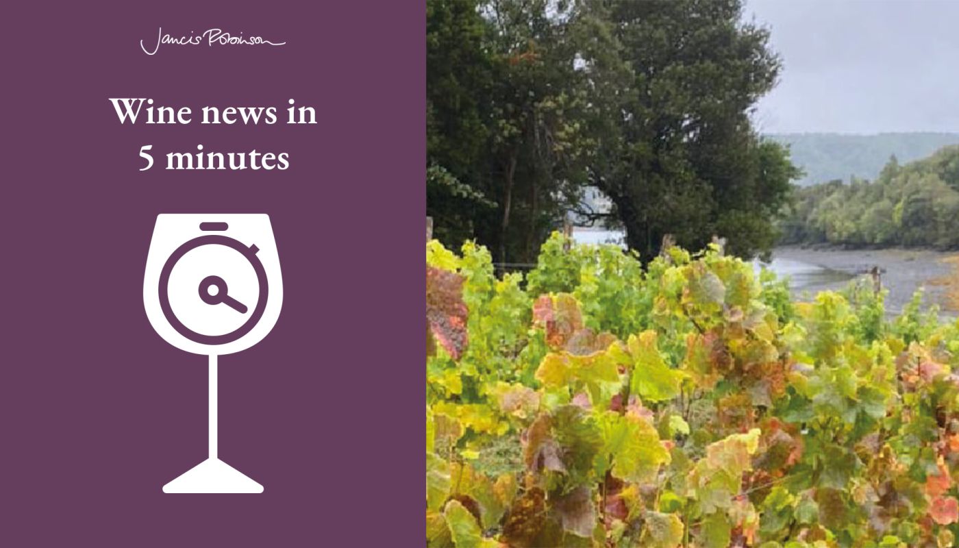 Montes' Chiloe vineyards