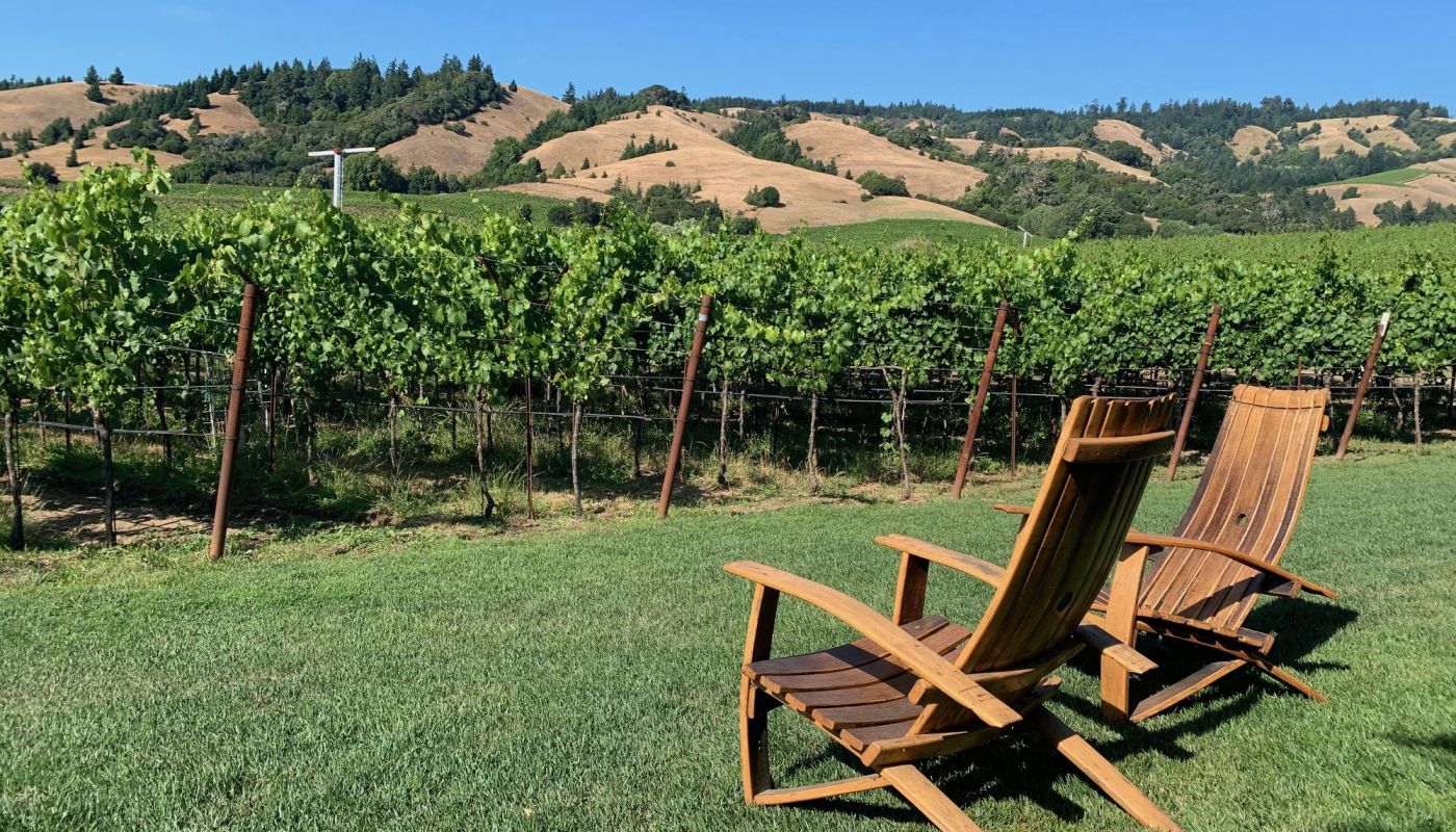 Overlooking the vines at Navarro Vineyards in California's Anderson Valley (Credit_ Steven Norton) 