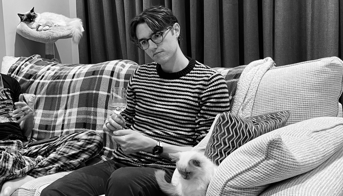 Scenes from a different kitten-oriented wine-fuelled get-together
