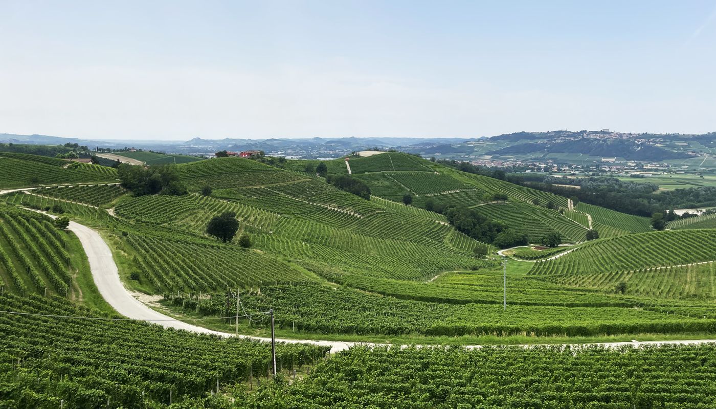 View from Barbaresco towards Guarene