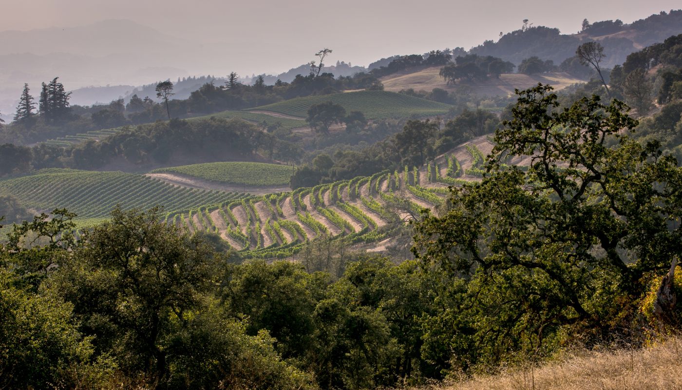 Alexander Valley in summer