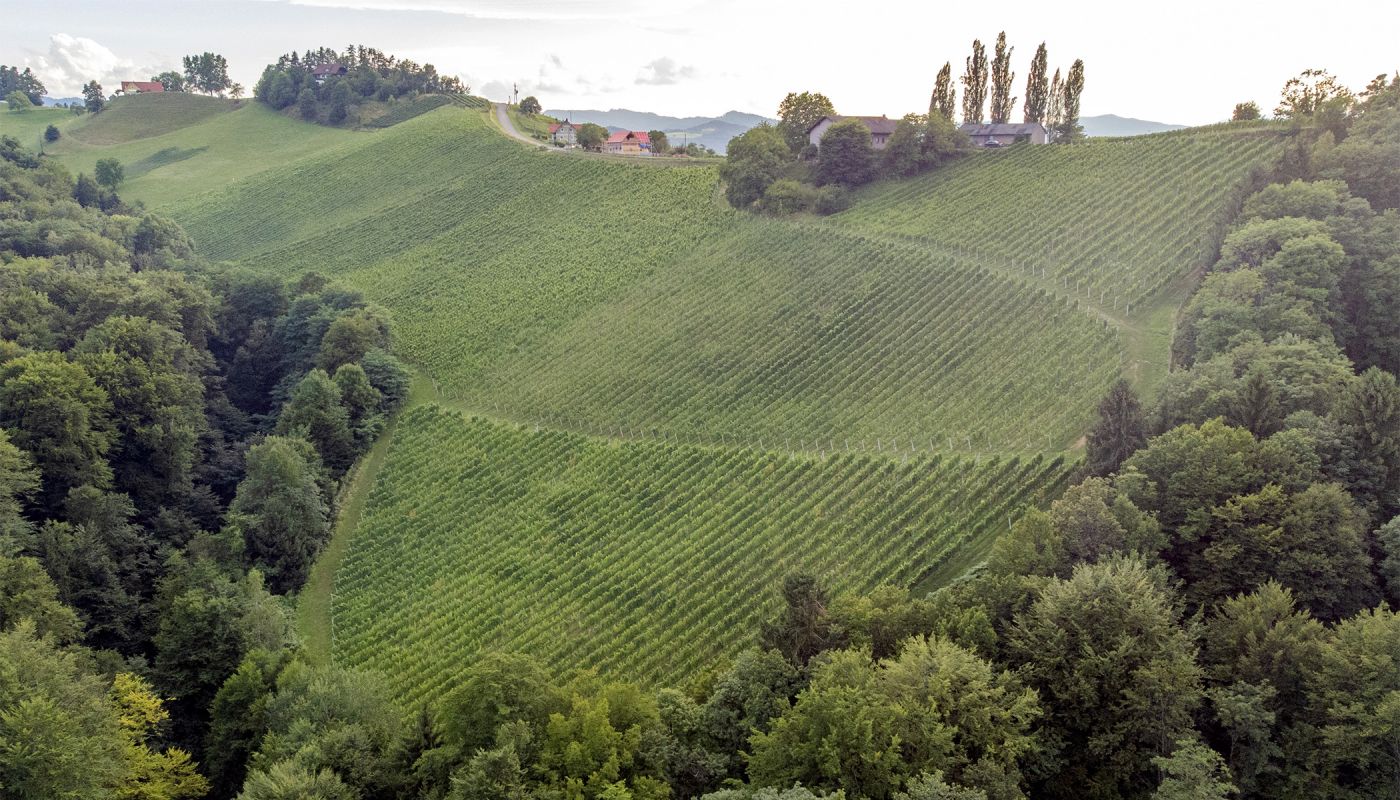 Lackner-Tinnacher Welles Vineyard