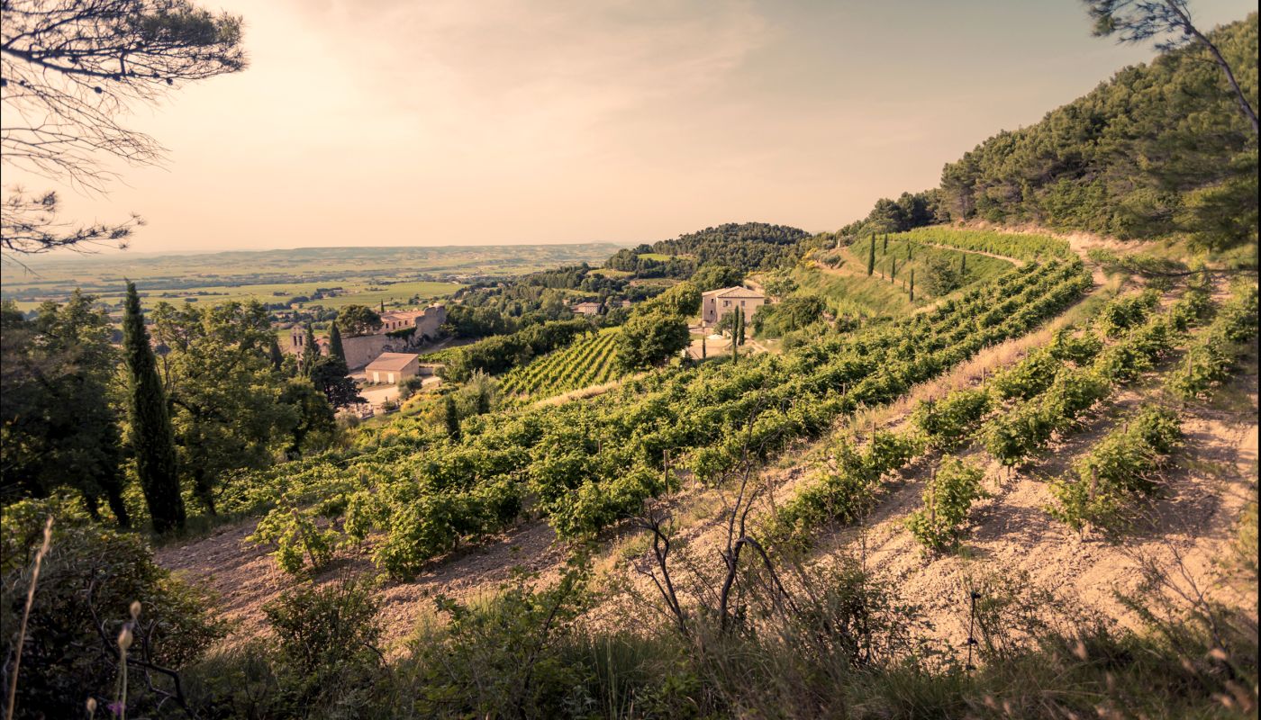 Gigondas - Domaine Santa Duc
