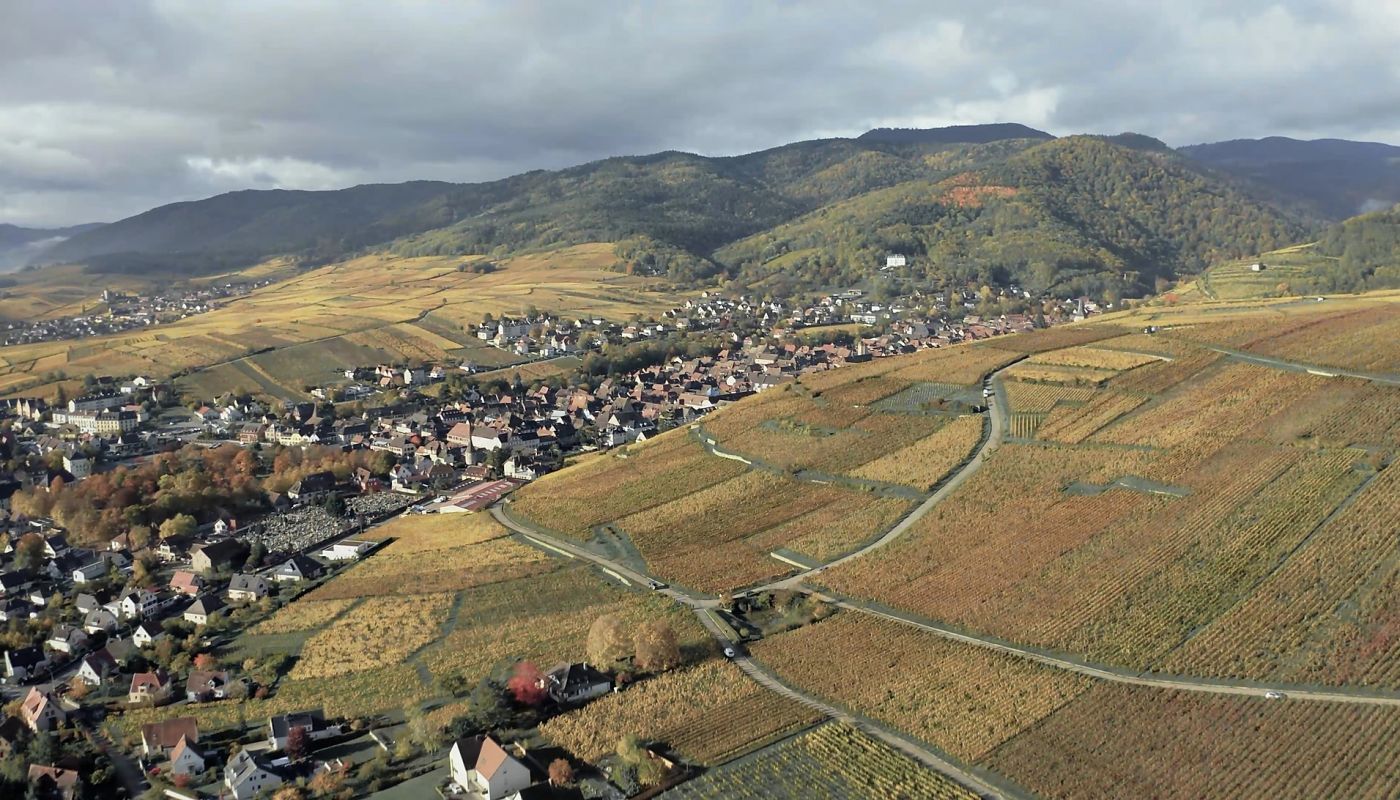 Trimbach terroir