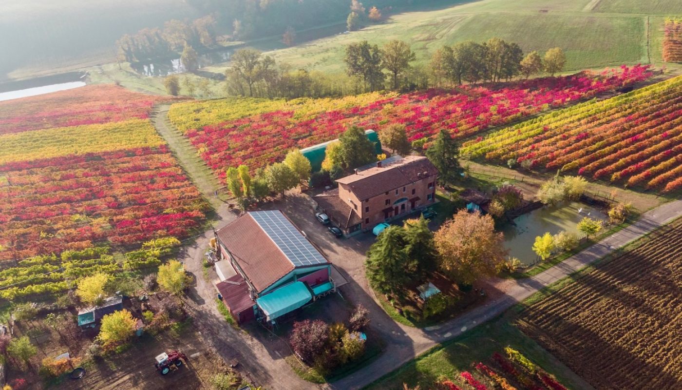 La Piana Lambrusco