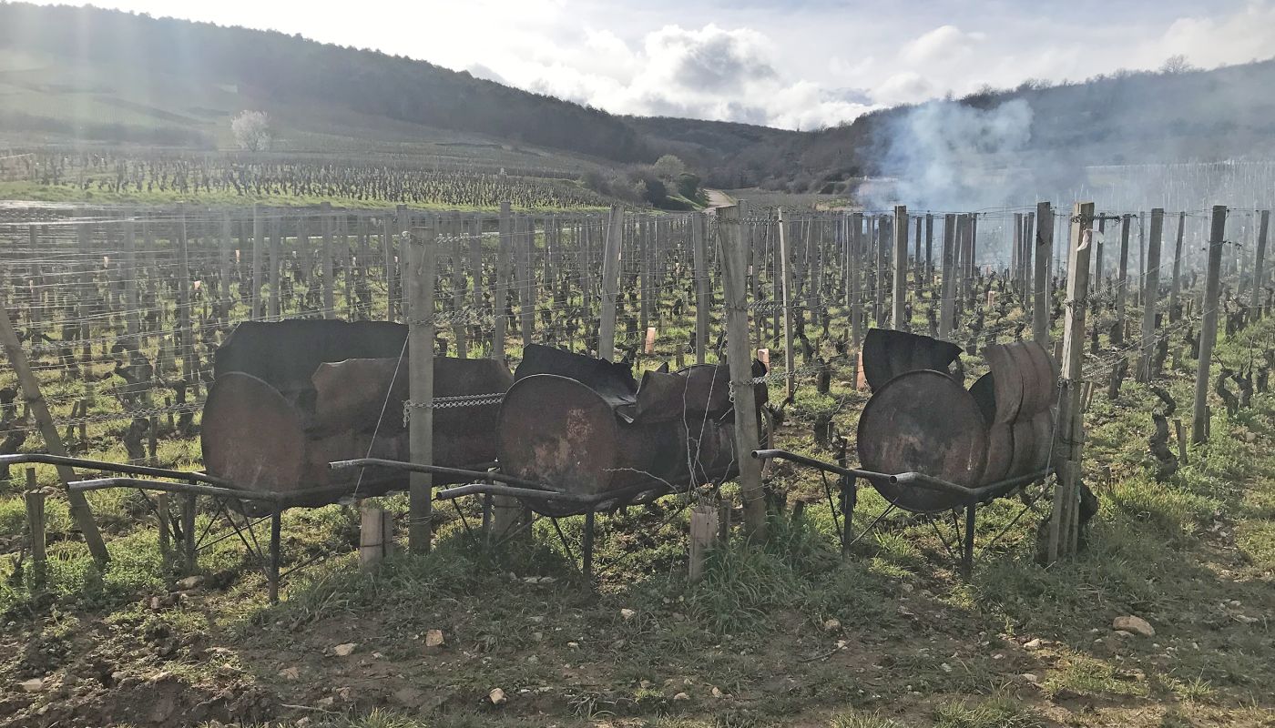 Pruning braziers in the Musigny vineyard