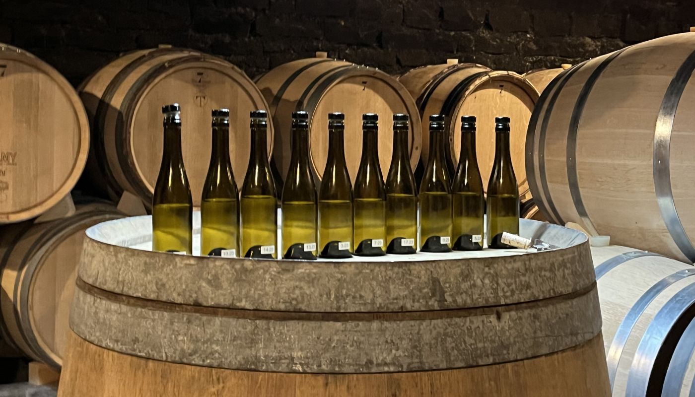 Roulot bottles lined up for tasting