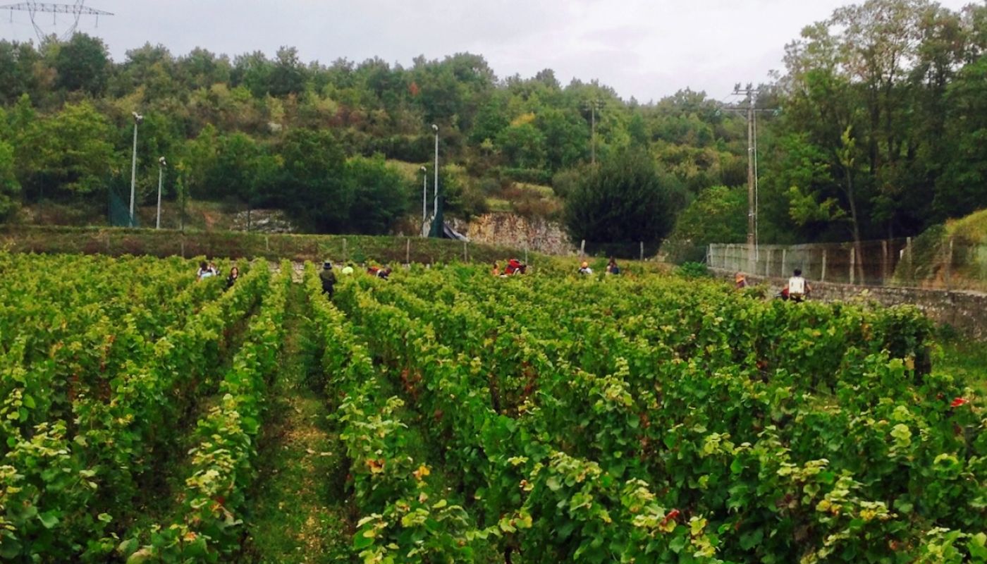 Clos des Perrières