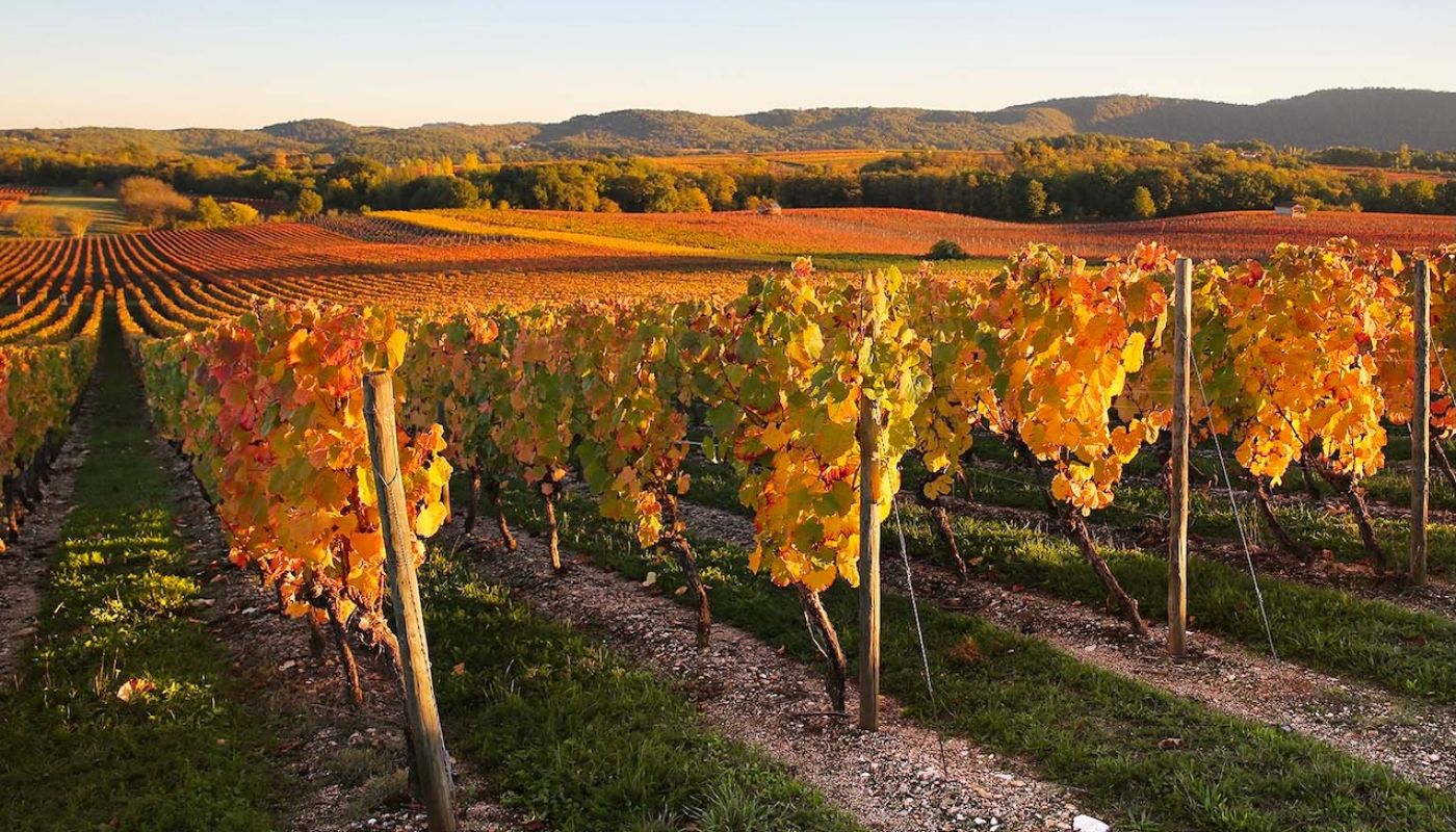 cahors-valley-autumn-light-jerome-morel