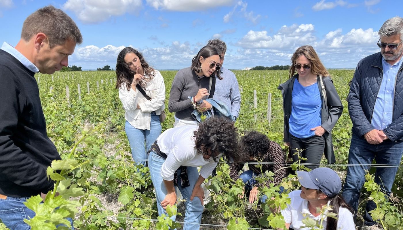 Grandes Pagos members study climate change in a Bordeaux vineyard
