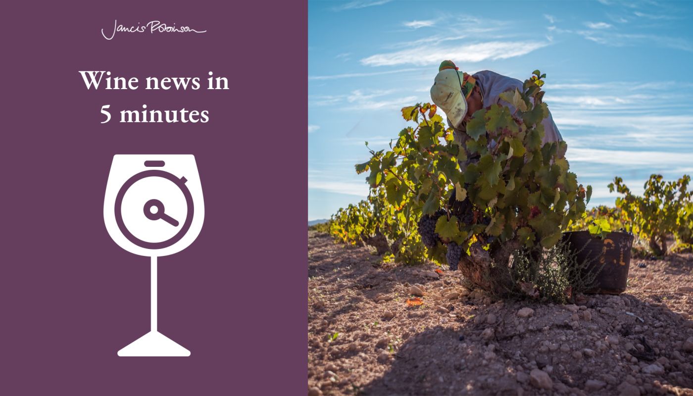 A sun-baked vine in Jumilla, and the logo for Wine News in 5