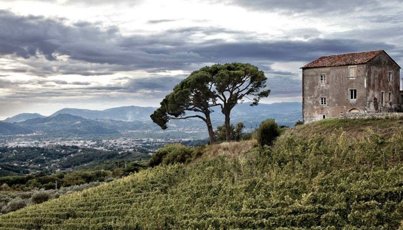 Terenzuola landscape