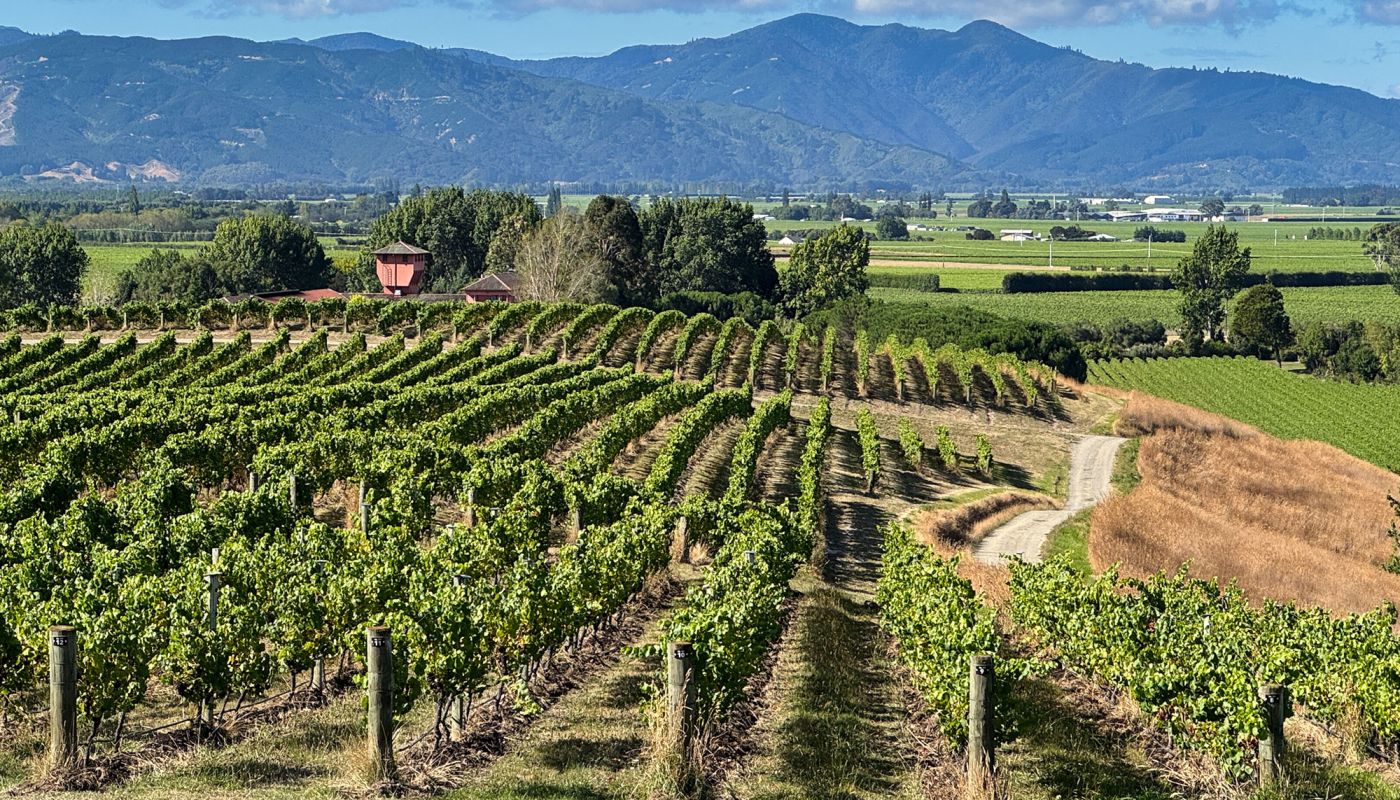 Dog Point Vineyard