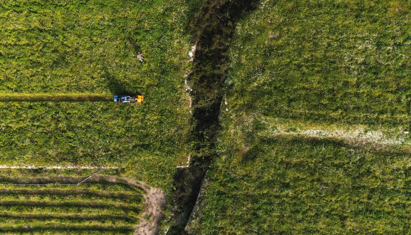 Kostaki vineyard