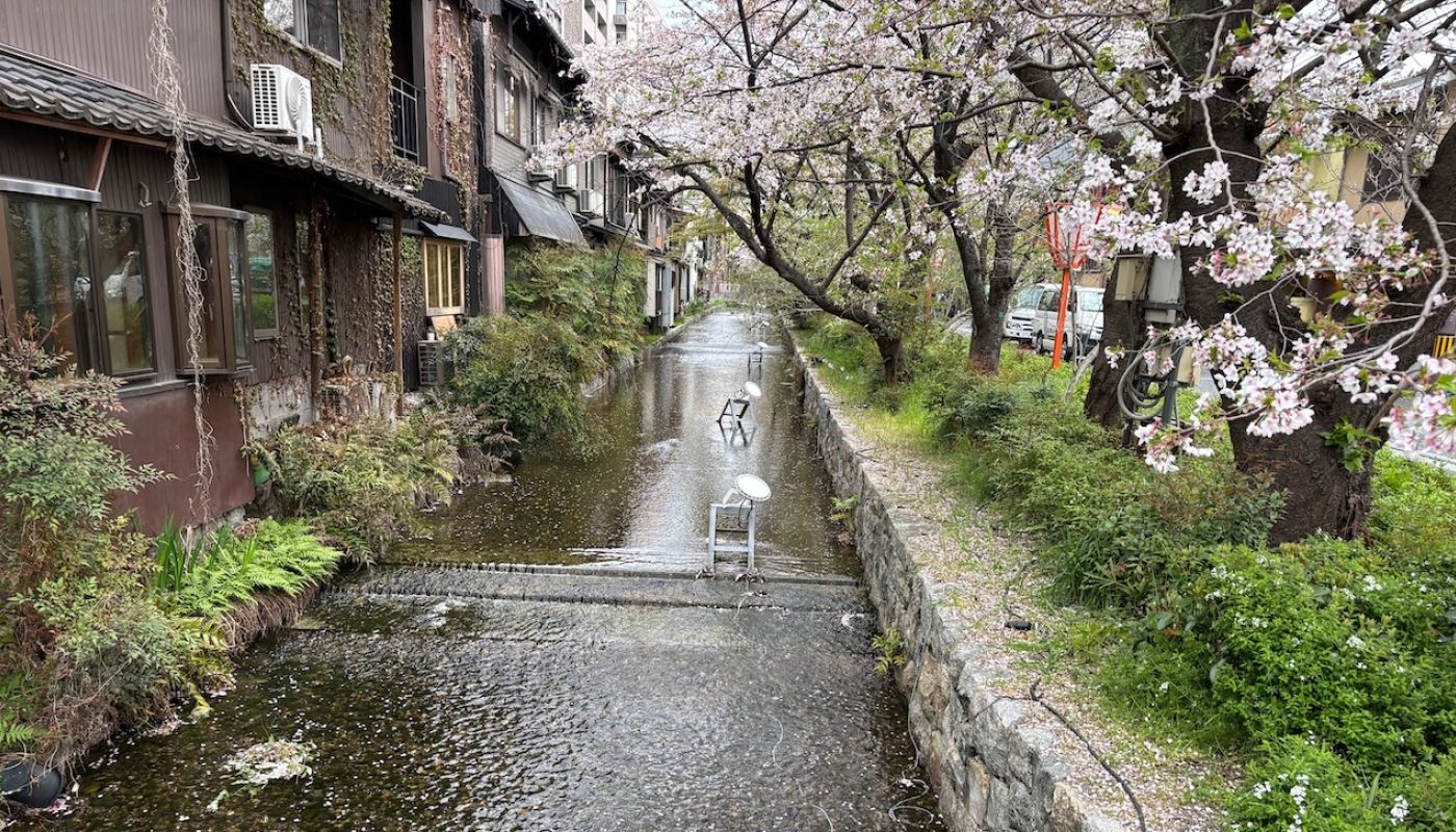 Kyoto, canal and cherry blossom