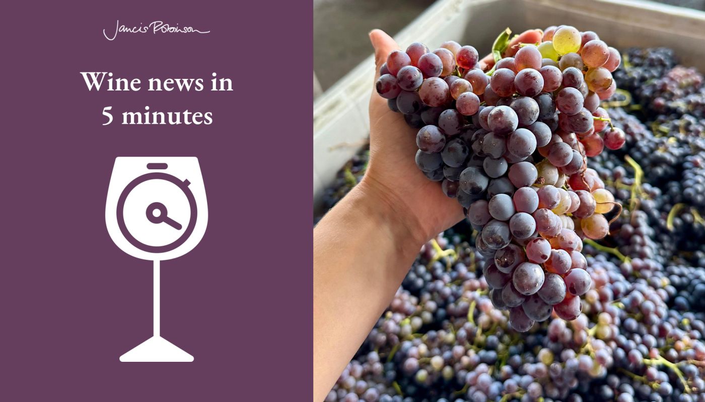 Garnacha harvest 2025 in Mendoza. Credit: Agustina Hanna, Ruca Malen