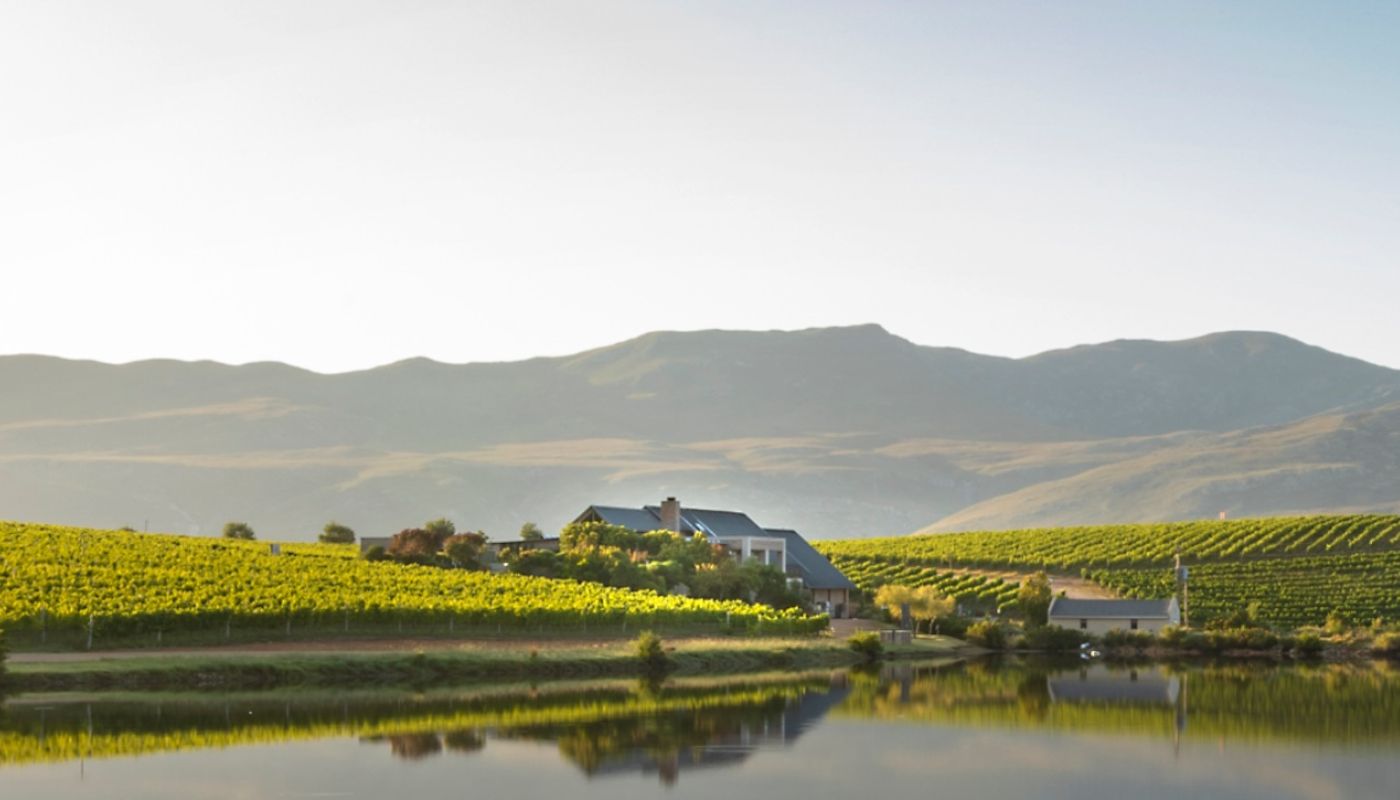 Creation winery in Hemel-en-Aarde Ridge