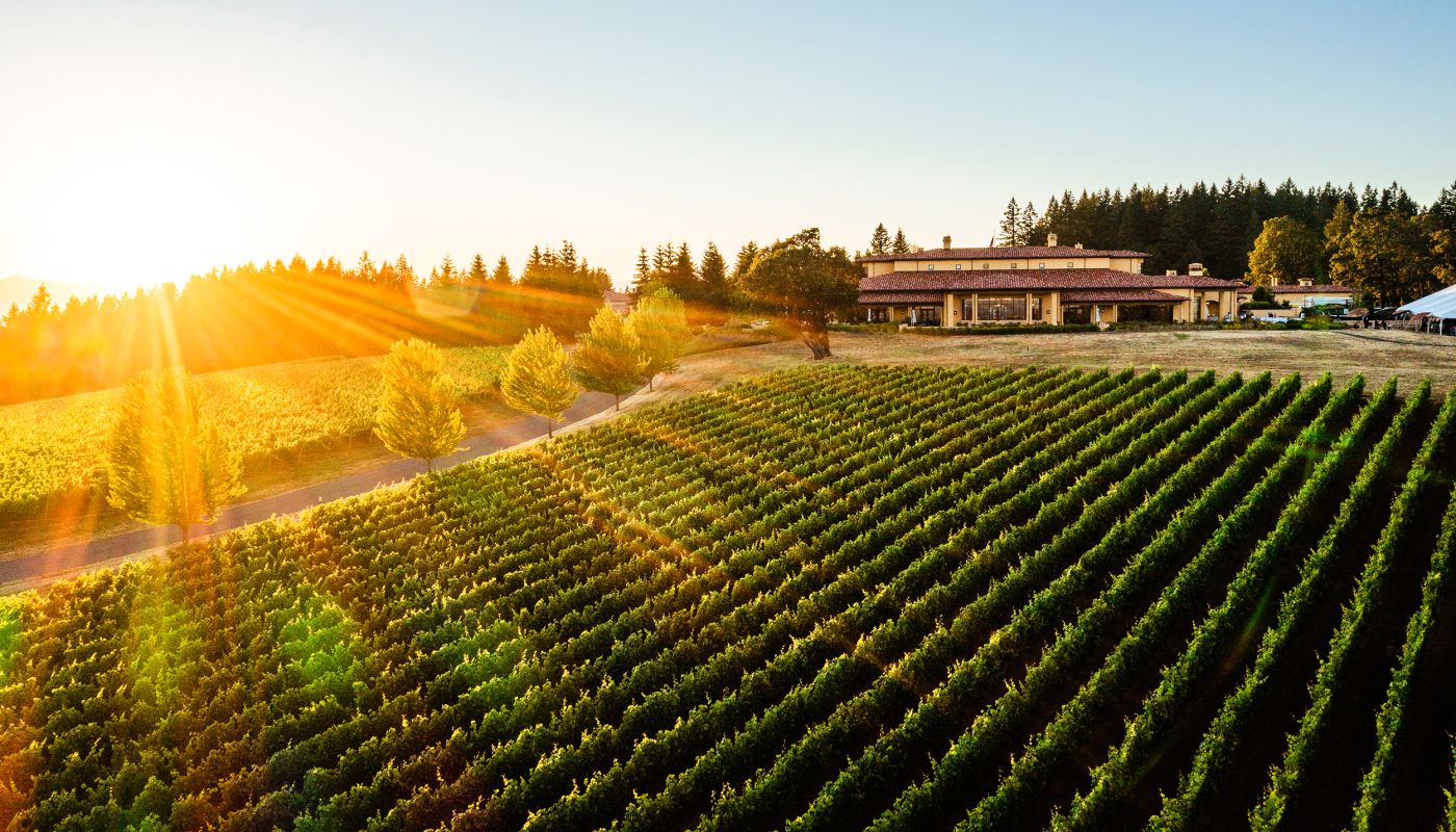 Domaine Serene