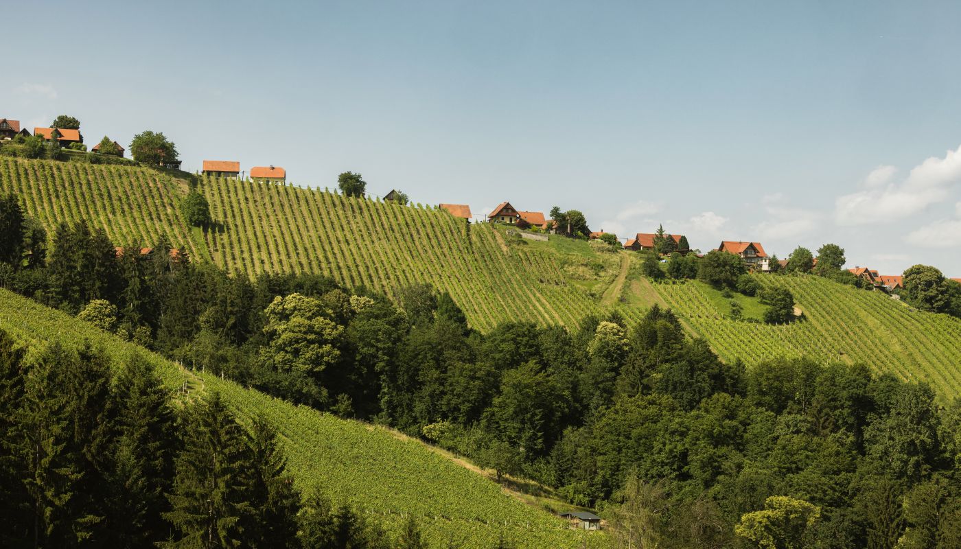 Lex Langmann Hochgreil