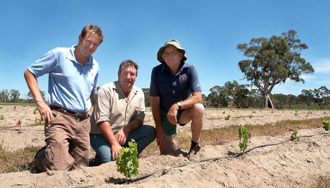 Fraser, Lane and Smart plantine Grenache Yangarra bushvines in 2006