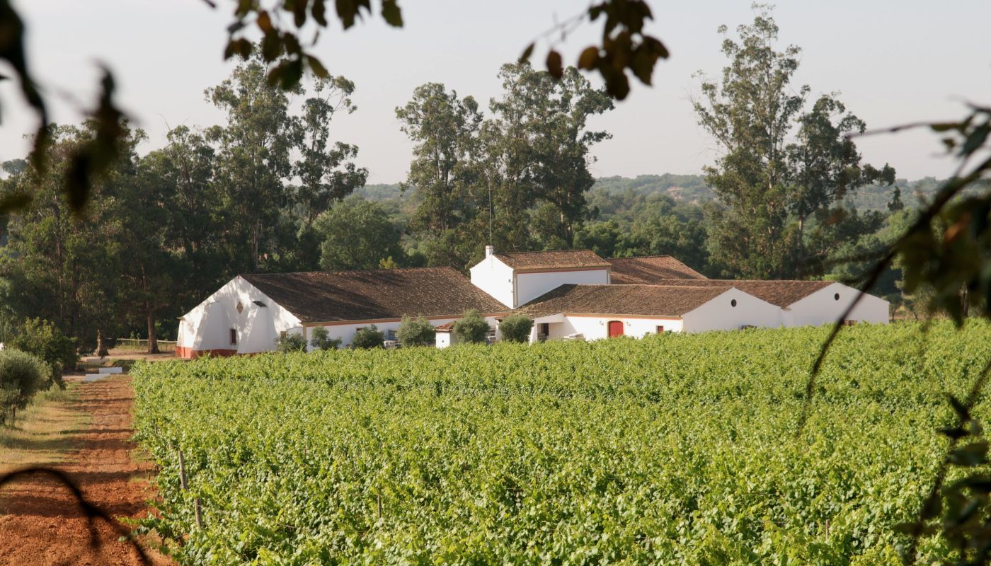 Mouchão estate