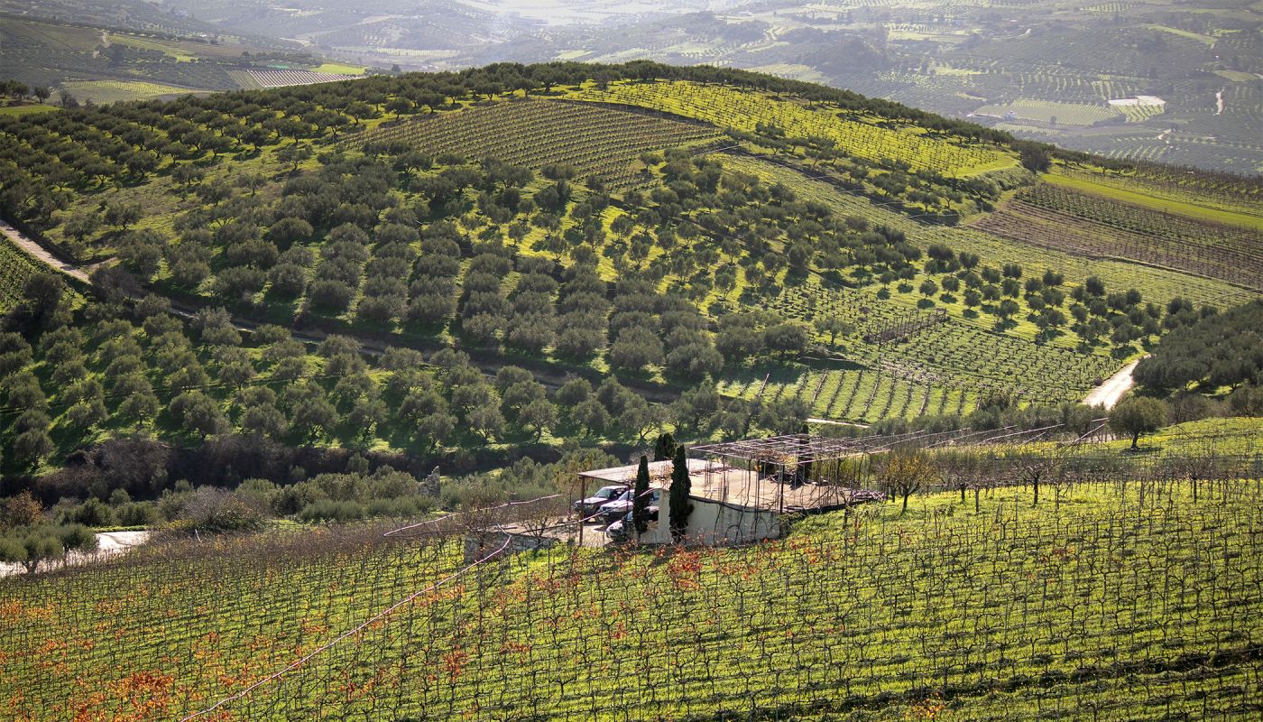 Douloufakis winery aerial shot