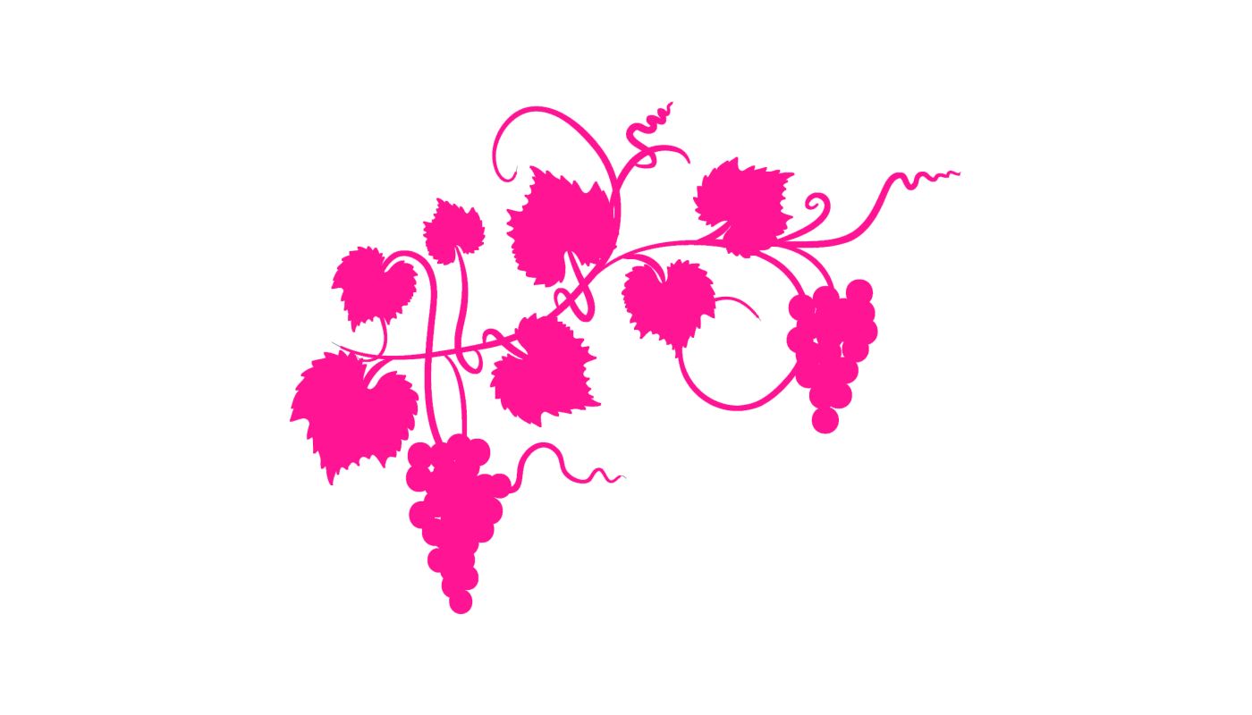 Pink grapevine on a white background. Image by diane555 via iStock.