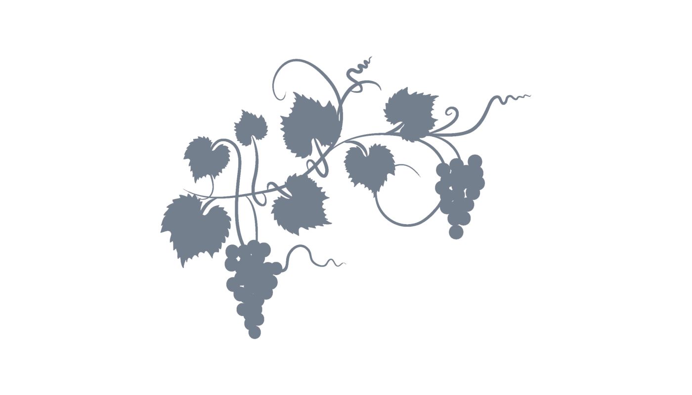   Grey grapevine on a white background. Image by diane555 via iStock.