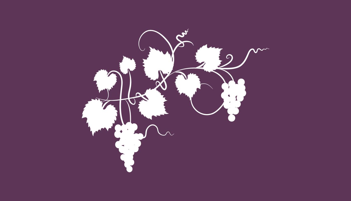 white grapevine on a purple background. Image by diane555 via iStock.