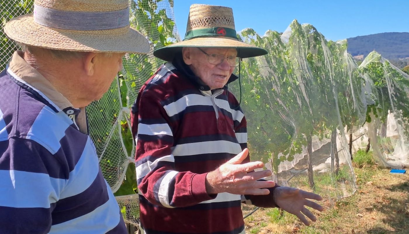 John Ellis and Richard Smart at Hanging Rock vineyard