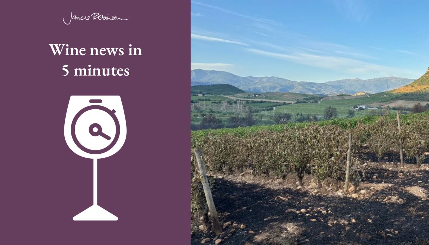 Corsica vineyard burned by wildfirs Aug 2025 and JR -wine-news-5-min-logo