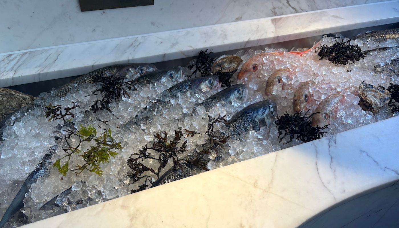 Kima fish cabinet