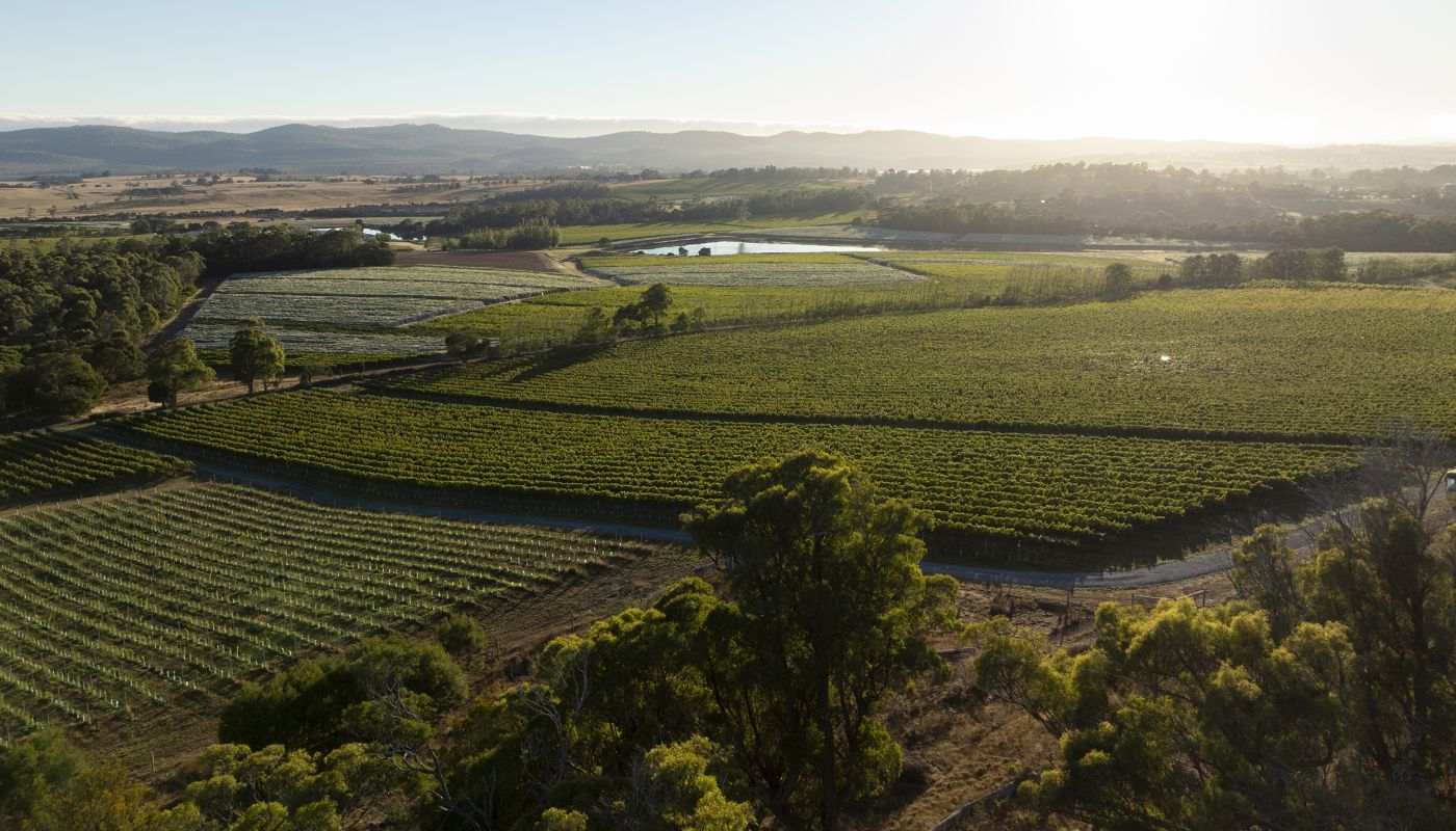 House of Arras vineyards