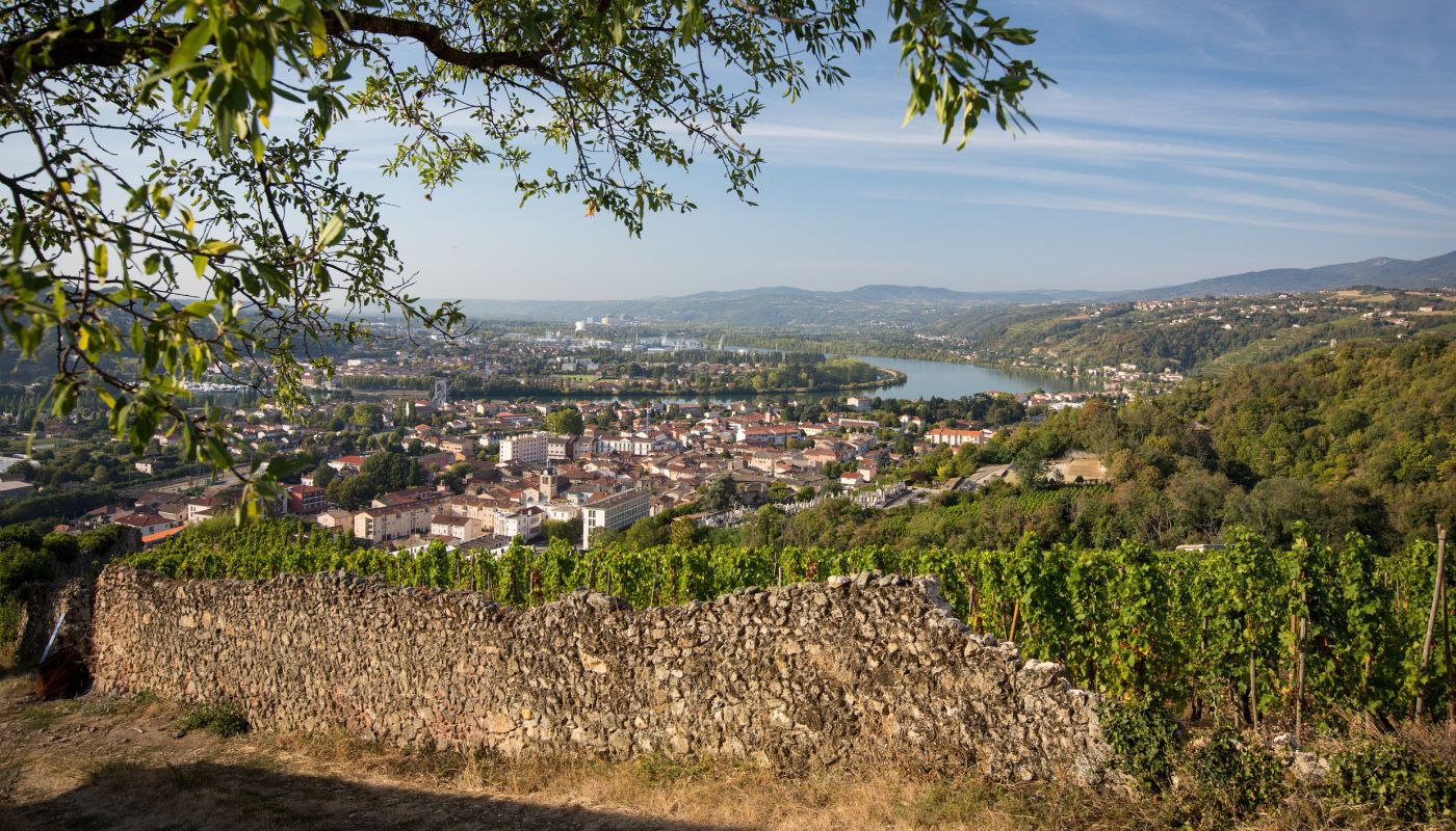 Ampuis viewed from Condrieu © Bernard Favre