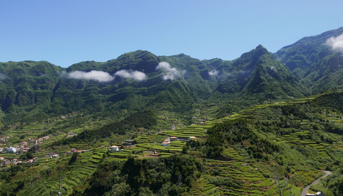São Vicente Madeira vineyards