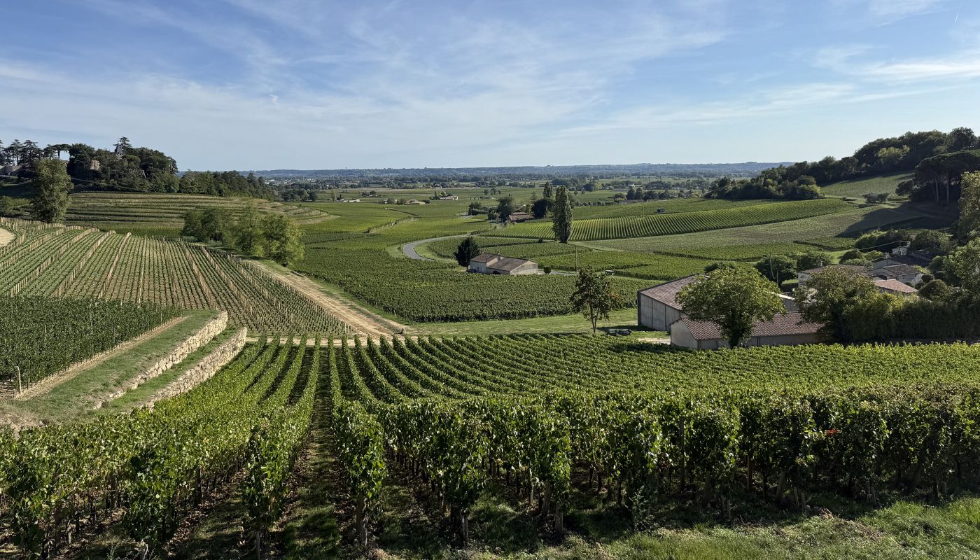 St-Émilion vinescape 17 September 2025
