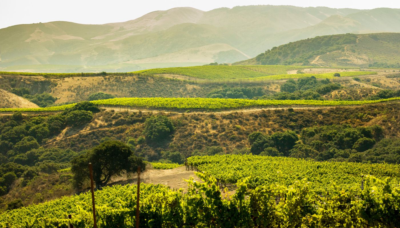 The Hilt Estate Radian and Bentrock Vineyards courtesy the estate