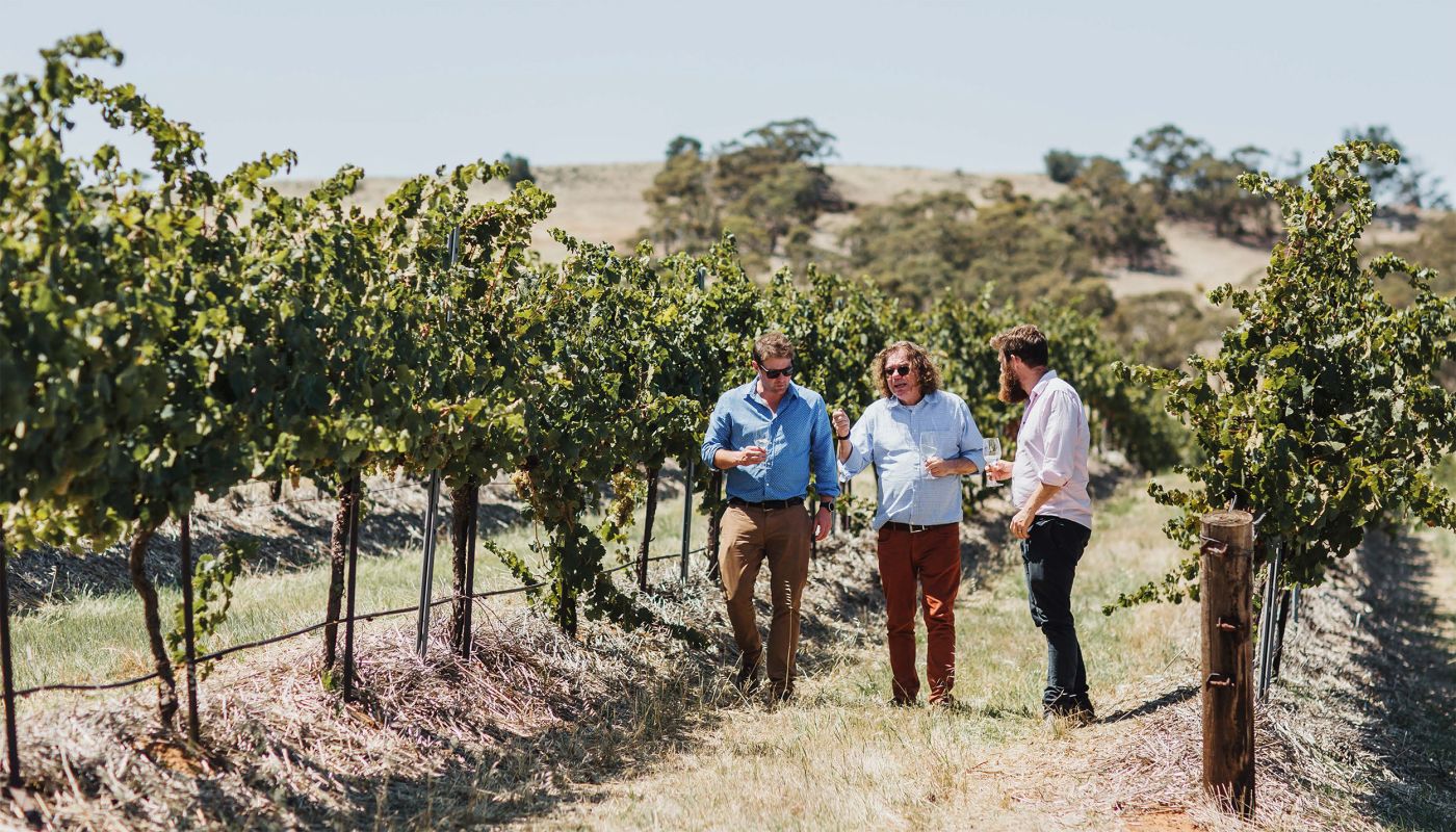 Tom Barry, Erni Loosen and Sam Barry in the Spring Farm vineyard, Clare Valley.
