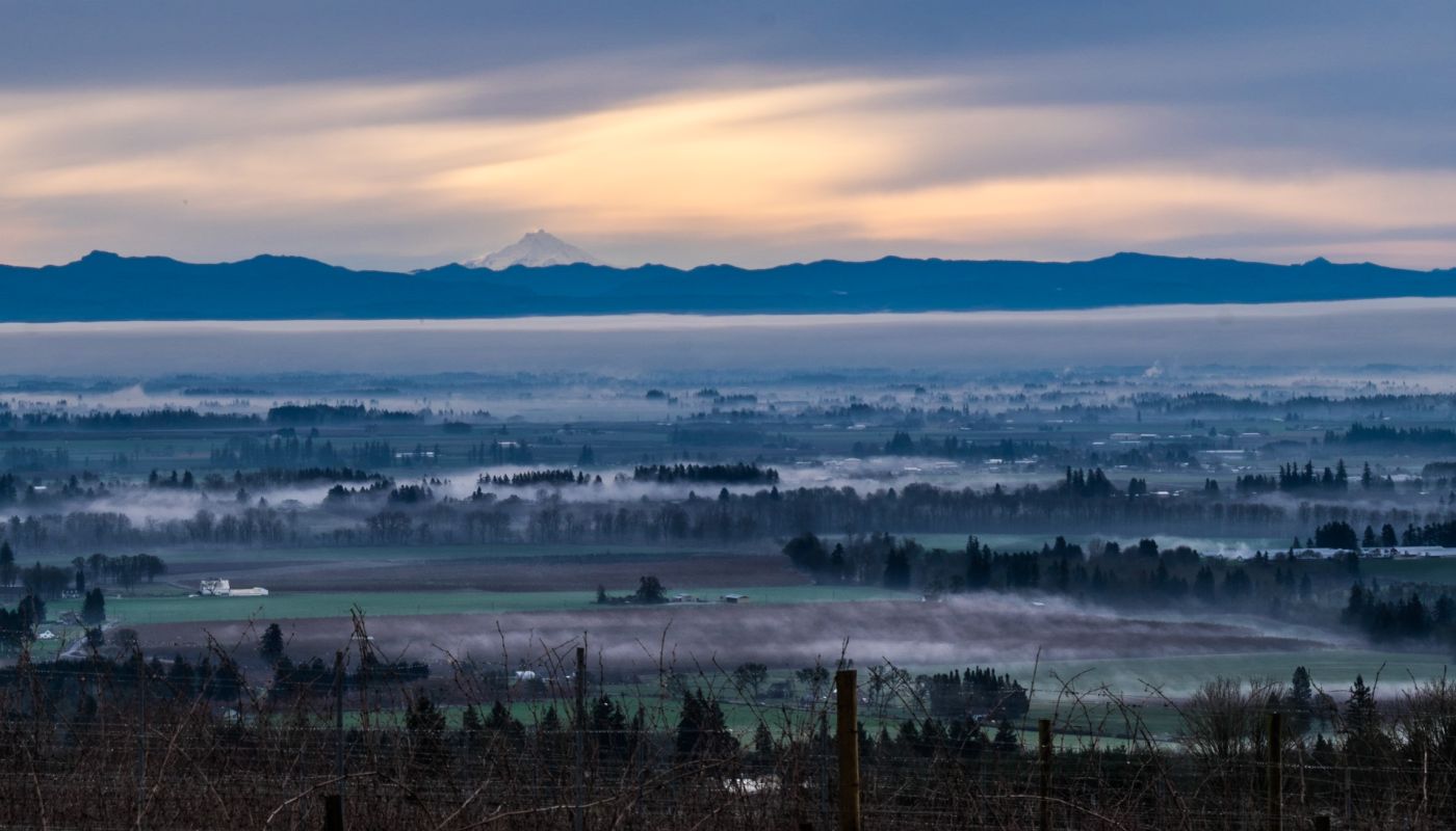 Mr Hood misty morning