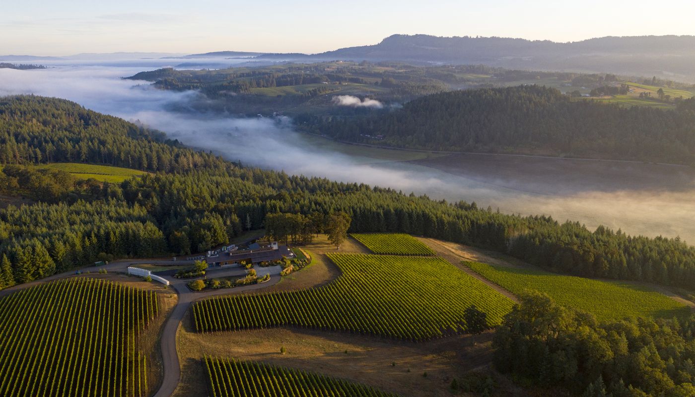 Penner-Ash vineyard