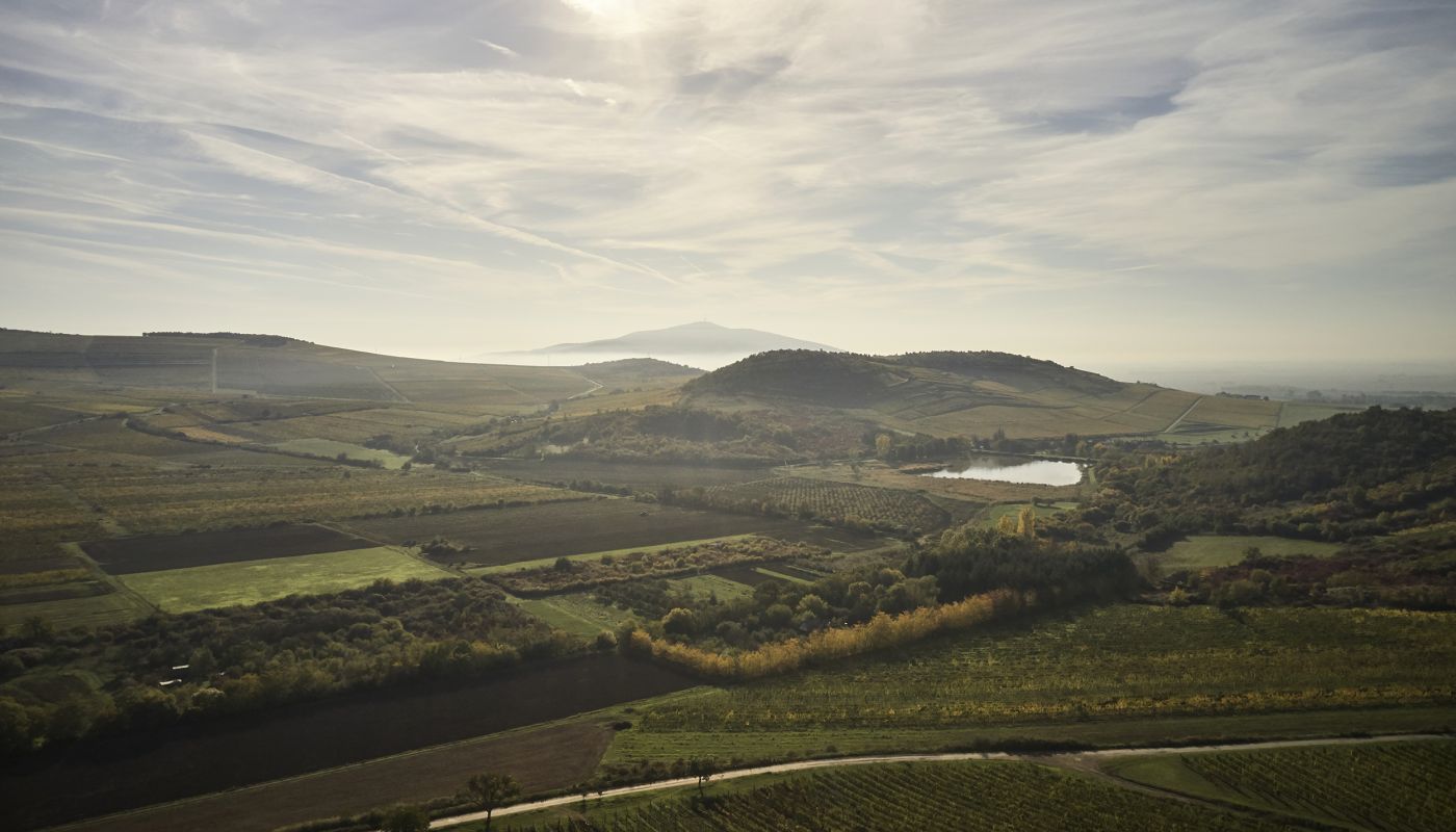 view over Tokaj