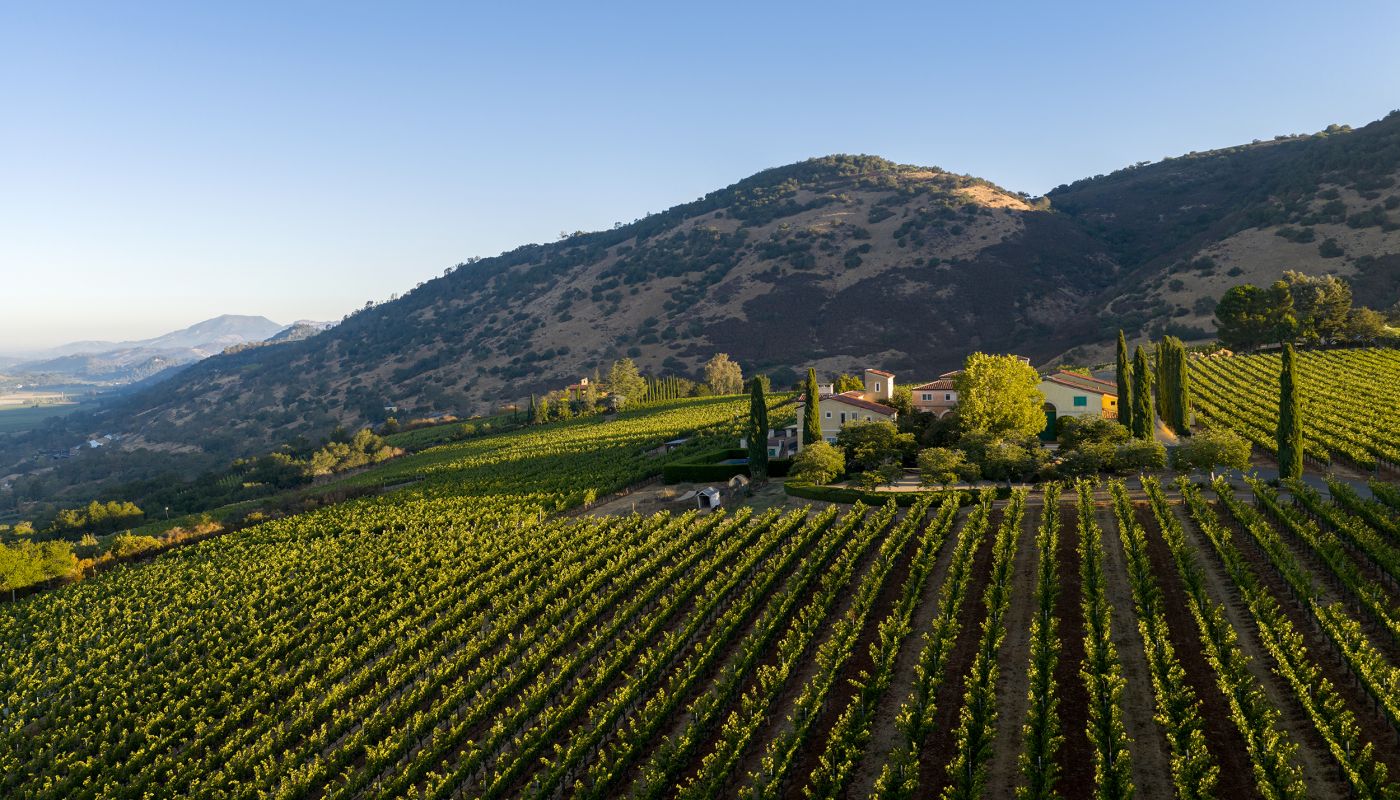 Dalla Valle vineyard