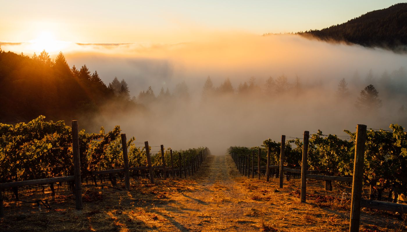 Rudd Mt. Veeder Estate