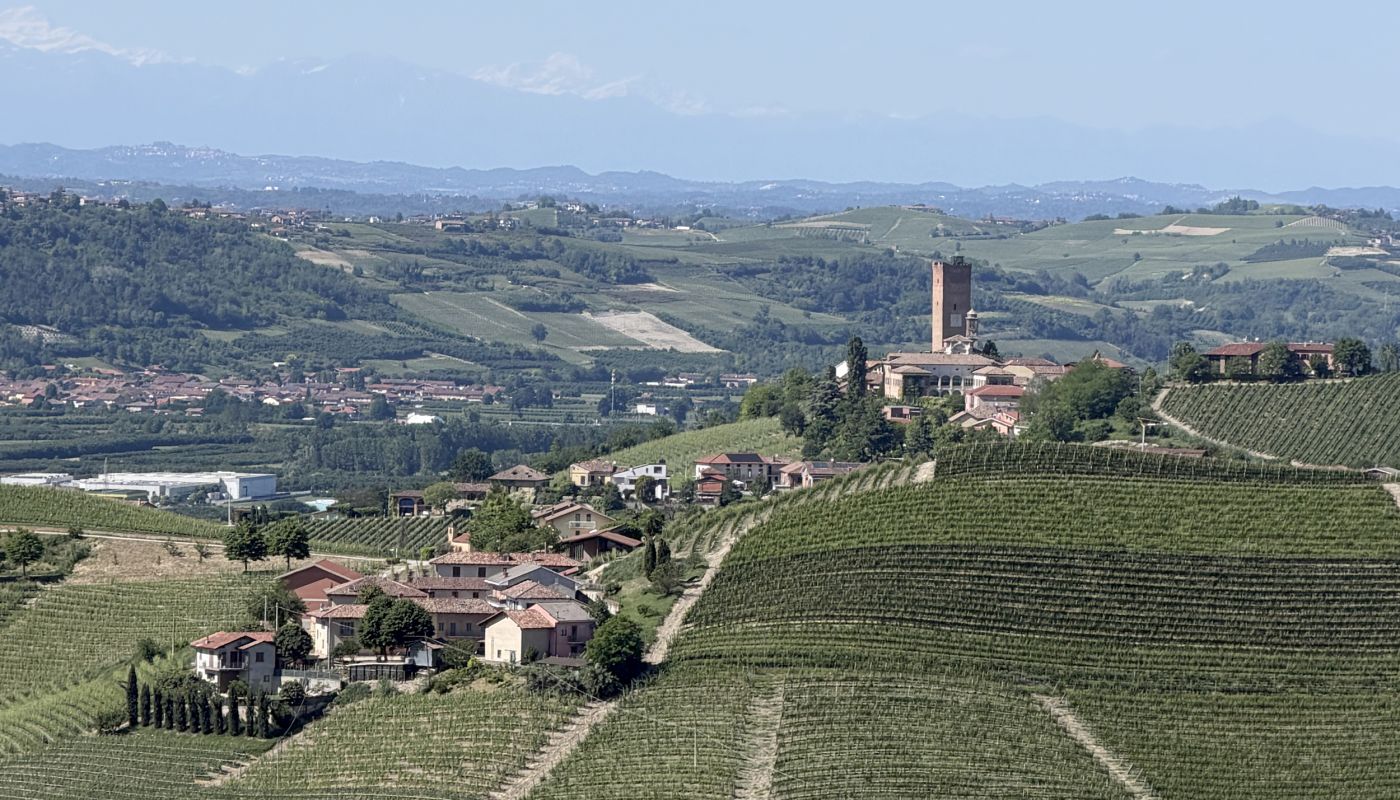 view towards Barbaresco