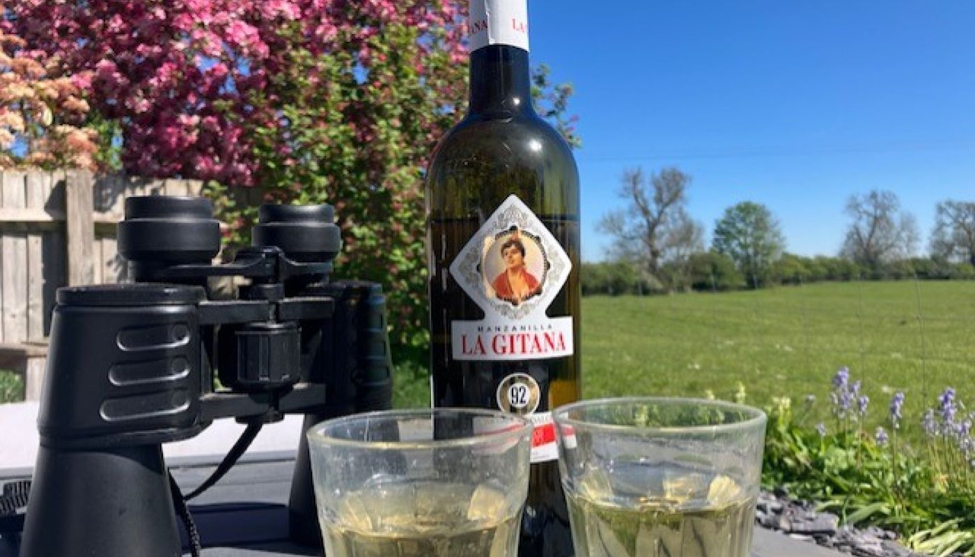 Glasses and a bottle of Sherry