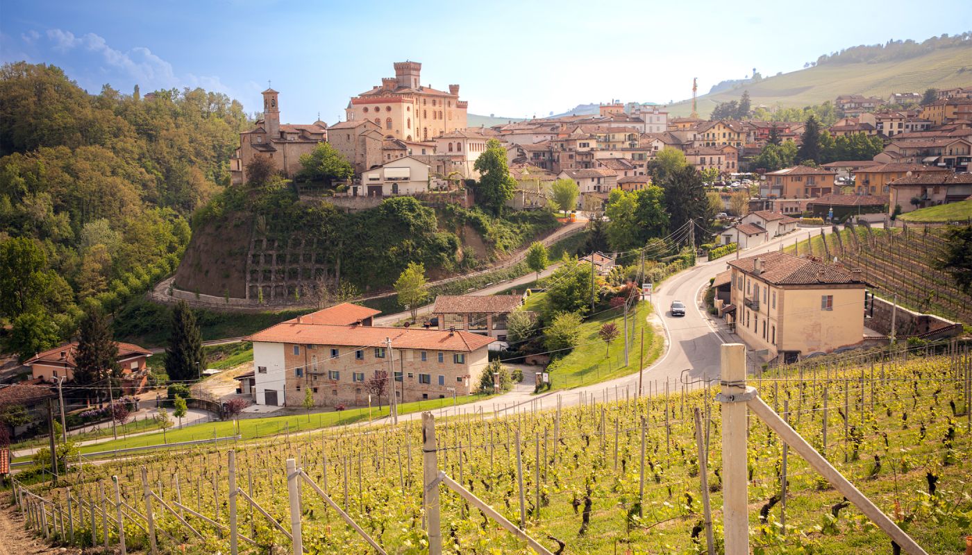 Barale estate and vineyards